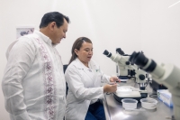 Fortalecen acciones para prevenir dengue, Zika y Chikungunya