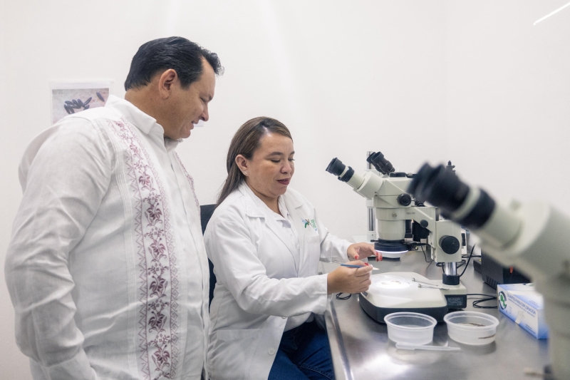 Fortalecen acciones para prevenir dengue, Zika y Chikungunya