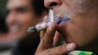 Nueve de cada 10 infractores han consumido droga en Yucat&aacute;n