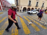 Mueren 7 y se contagian 55 por Covid-19 en Yucat&aacute;n&nbsp;