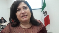 D&iacute;az Mena y Vila deber&aacute;n trabajar de manera coordinada: Celia Rivas