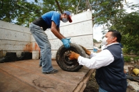 Refuerzan acciones sanitarias en comisar&iacute;as afectadas por ciclones