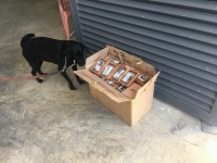 Aseguran habanos y tabaco en M&eacute;rida