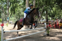 Yucat&aacute;n gana medalla de plata en pentatl&oacute;n moderno