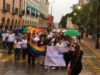 Voto de castigo a pol&iacute;ticos homof&oacute;bicos: comunidad LGBTTTI