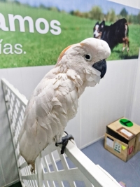 Aseguran cacat&uacute;a en el Aeropuerto de M&eacute;rida