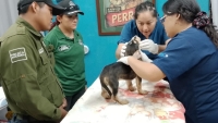 Crueldad animal en Kanas&iacute;n
