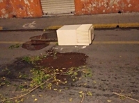 Maceteros del Centro de M&eacute;rida costaron casi 10.5 mdp&nbsp;