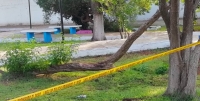 Octogenario se suicida en parque p&uacute;blico