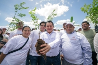 Yucat&aacute;n apuesta por un futuro verde