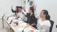Olga Rosas Moya y Carlos Flores Rosel comparecer&aacute;n ante diputados