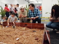 Se estrena &ldquo;Vive el Verano Cultur&rdquo; en el Siglo XXI