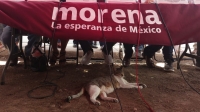 Candidatos deben realizar campa&ntilde;as propositivas: Canaco
