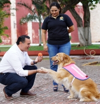 Protegeremos a los animales: Ren&aacute;n