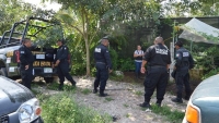 Roban en mariposario de Tizim&iacute;n