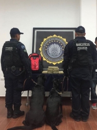Aseguran 9 kilos de coca&iacute;na en Terminal de ADO