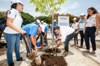 Siembran &aacute;rboles en el estacionamiento del Cementerio Xocl&aacute;n