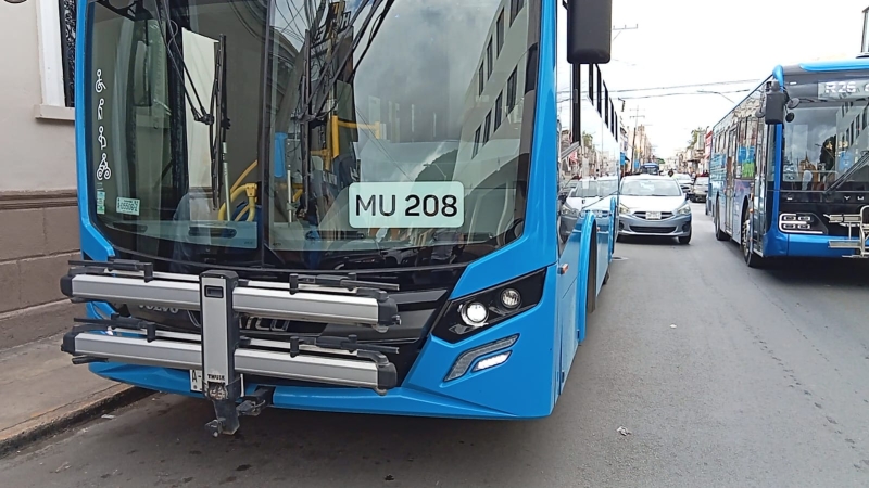 Choca Va  y Ven en el centro de Mérida