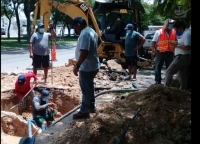 Japay atiende con &eacute;xito fuga en la avenida Itz&aacute;es
