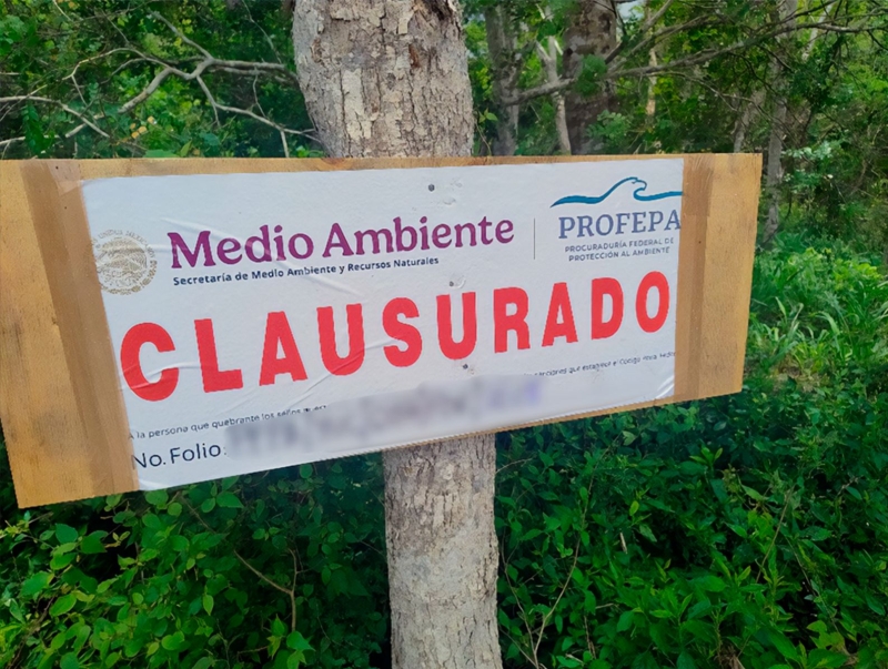 Detiene Profepa desmonte de selva en Tekax