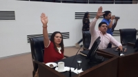 Propone PAN ley para proteger el &ldquo;derecho a la vida&rdquo;
