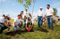 Llama Ayuntamiento a conservar &aacute;rboles plantados