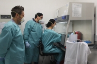 Recibe Yucat&aacute;n de la Federaci&oacute;n m&aacute;s de 113 mil insumos para enfrentar pandemia