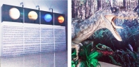 Museo del Cr&aacute;ter de Chicxulub lleva un avance del 70%