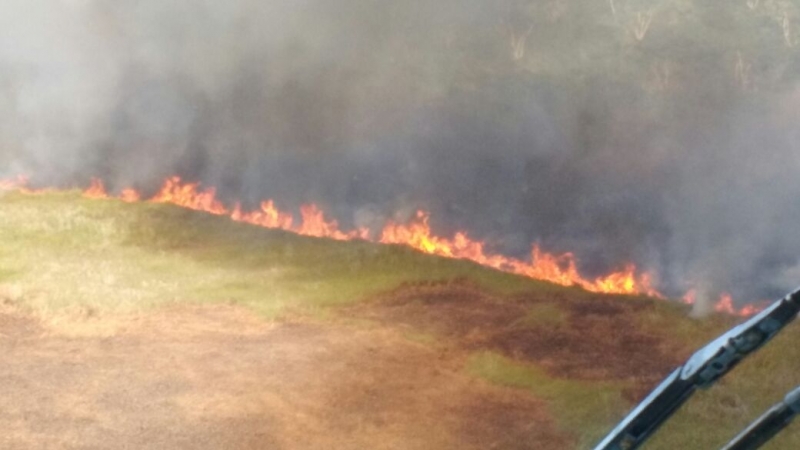 Disminuyen incendios forestales: Conafor