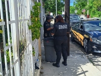 Investigan presunto maltrato animal
