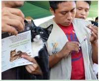Anuncian campa&ntilde;a de esterilizaci&oacute;n de perros y gatos