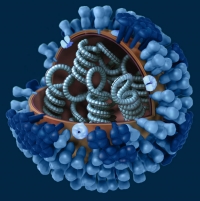 Pandemia de influenza durante la revoluci&oacute;n mat&oacute; a m&aacute;s de 7 mil