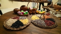Gran Museo del Mundo Maya dedica exposición a la milpa
