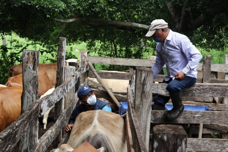 Destacan beneficios de Programa "Veterinario en tu Rancho"
