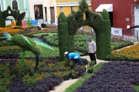 Miles de personas visitaron el &ldquo;Camino de Flores&rdquo;