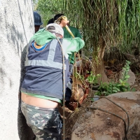 Rescatan a perro de ínterior de un pozo