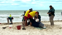 Delf&iacute;n recala con vida&nbsp;en playas de Progreso