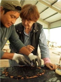 Gerda Gruber y Margarita Molina recibir&aacute;n Medalla Yucat&aacute;n