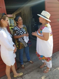 Cholul, testigo del debut del &ldquo;Tinam&oacute;vil&rdquo;