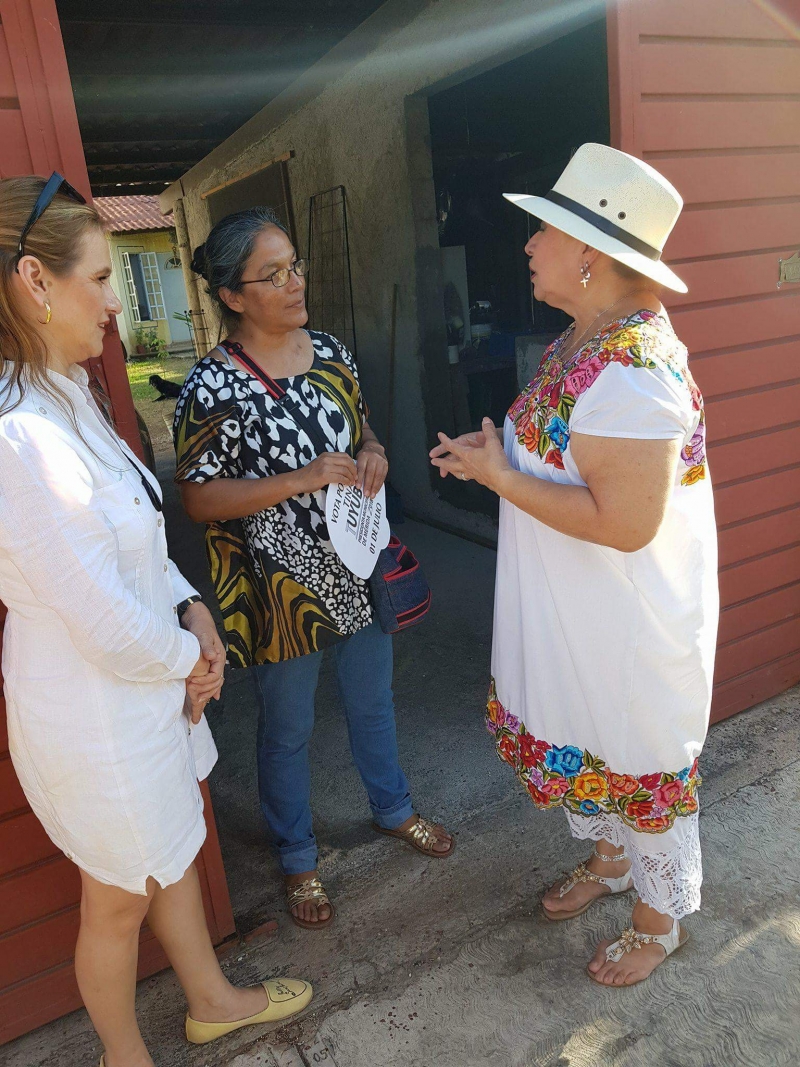 Cholul, testigo del debut del “Tinamóvil”